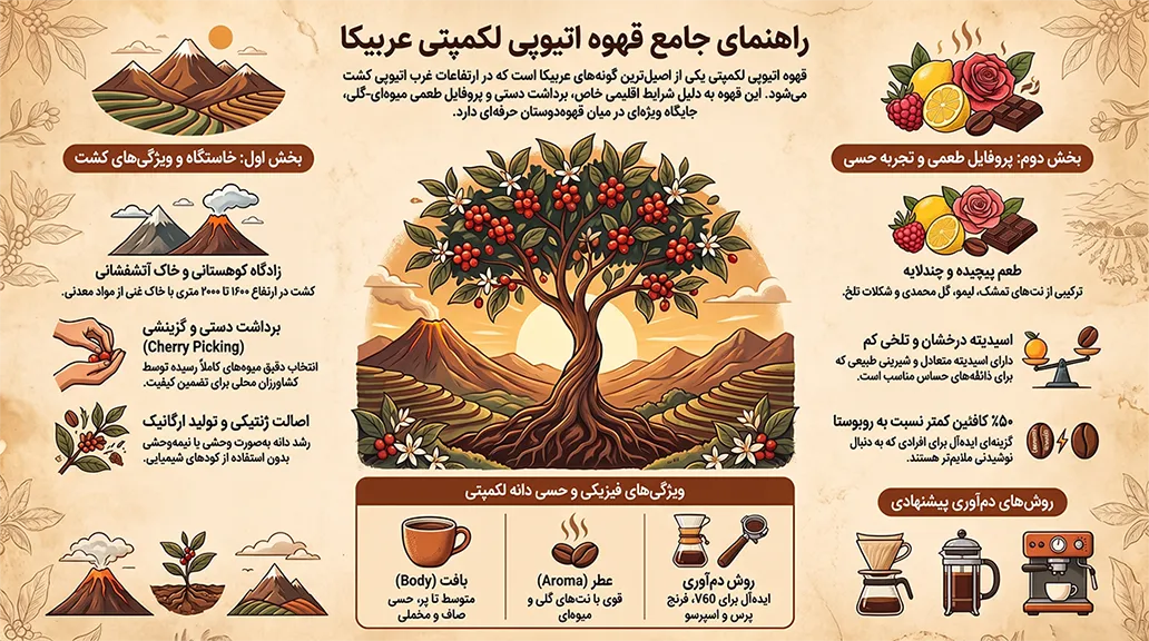 راهنمای جامع قهوه اتیوپی لکمپتی